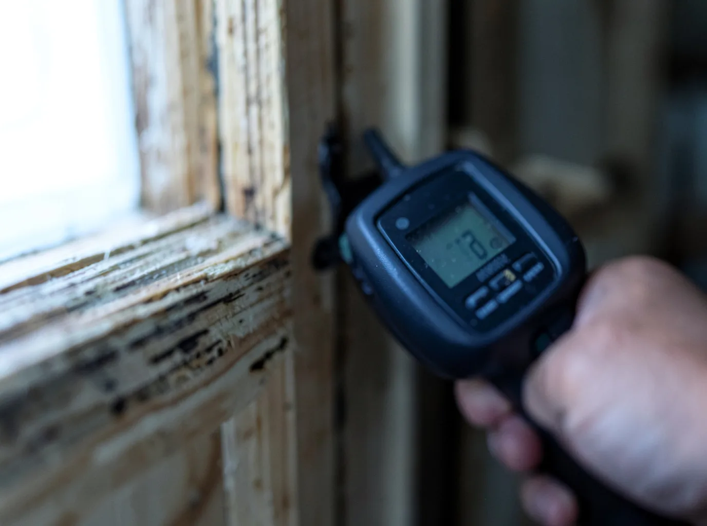 Moisture Inspection And Documentation in Freeland, WA